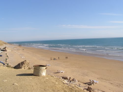 camel beach taghazout